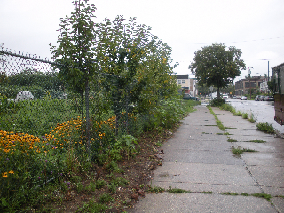Mill Creek Farm is urban, row homes and warehouses are the neighbors.