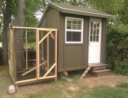 Adding a Shed: The New “It” Project